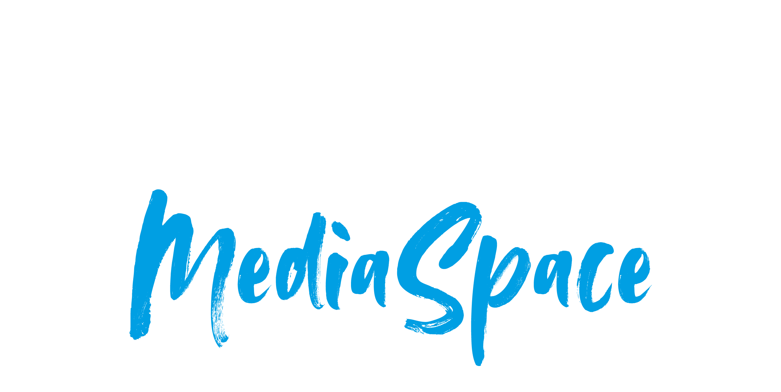 Wackenhut MediaSpace